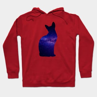 Space cat Hoodie